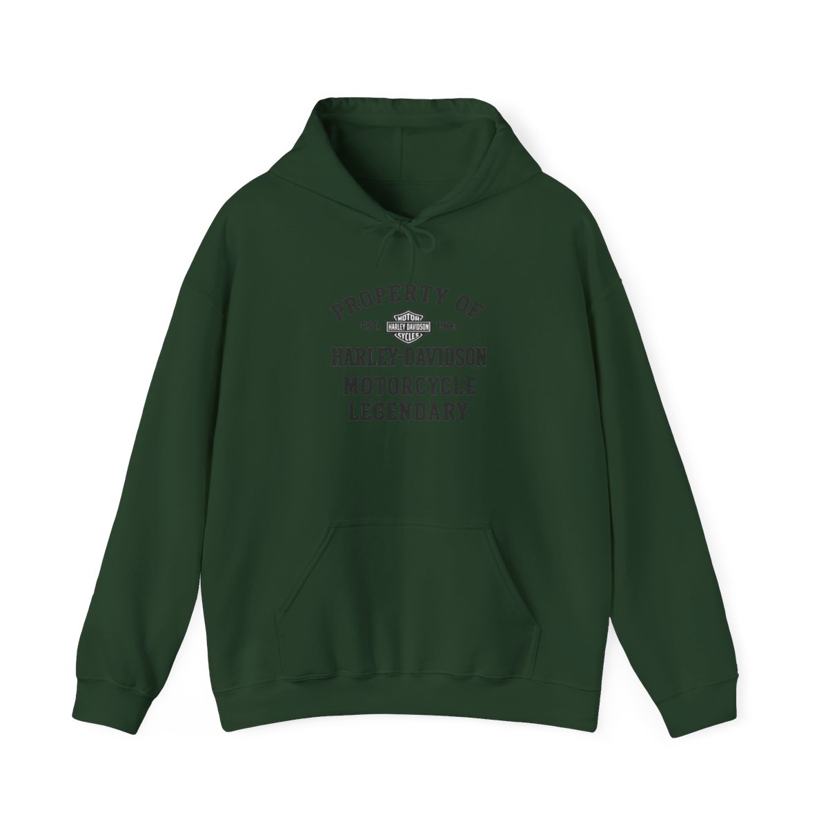 Harley-Davidson "PROPERTY OF EST. 1903 HARLEY-DAVIDSON" Hoodie - alternate angle 4, merchandise
